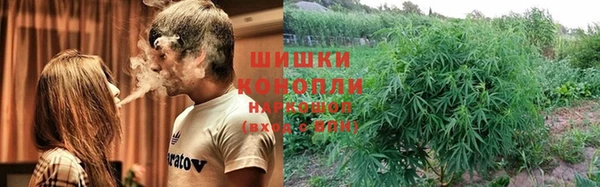 трава Алексин