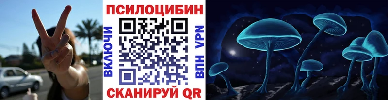 mega ССЫЛКА  Иваново  Псилоцибиновые грибы MAGIC MUSHROOMS 